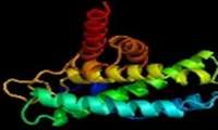 Researchers develop technology to change protein identity in vivo